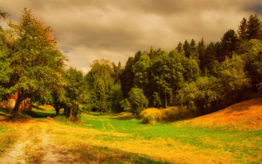 646478 (a): :2560x1600